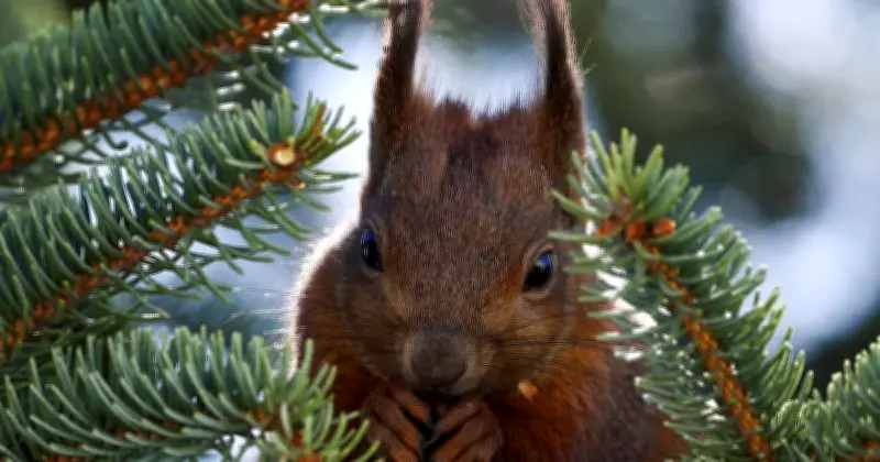 Global Photo Roundup: Easter Eggs, Eurovision Security, and Dramatic Skies