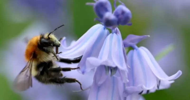 Global Snapshot: A Visual Journey Through World Events on April 10, 2026