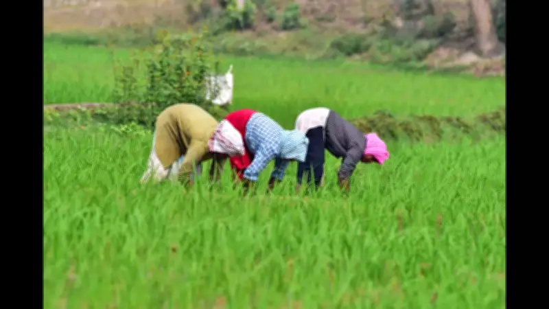 Goa TCP Department Restores 1 Lakh Sqm of Agricultural Land to No-Development Zone