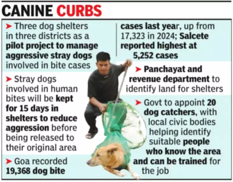 Goa to Establish Three Dog Shelters and Hire 20 Catchers to Curb Rising Stray Dog Attacks