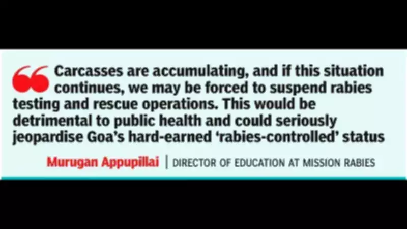 Goa's Rabies-Controlled Status at Risk Due to Carcass Disposal Crisis