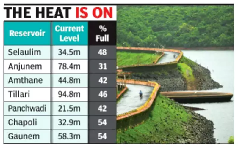 Goa's Reservoirs Dip Below 50% Capacity Amid Delayed Pre-Monsoon Rains