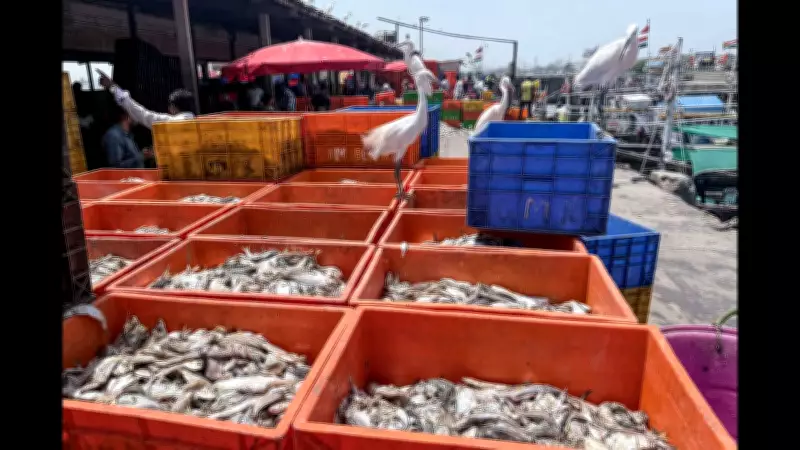 Goa's Saleri Village Set for Transformation into Modern Fishing Hub Under PM Scheme