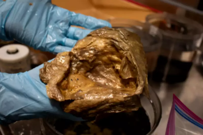 Golden Orb Found in Deep Ocean Baffles Scientists, DNA Reveals It's an Eggshell