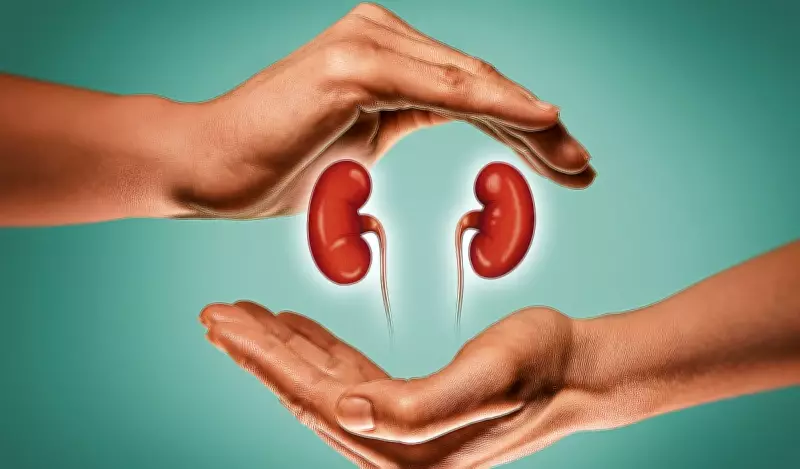 Government Approves Multi-Pair Kidney Transplants in Registered Centers