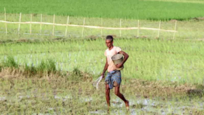 Government Assures Limited El Nino Impact on Agriculture This Year