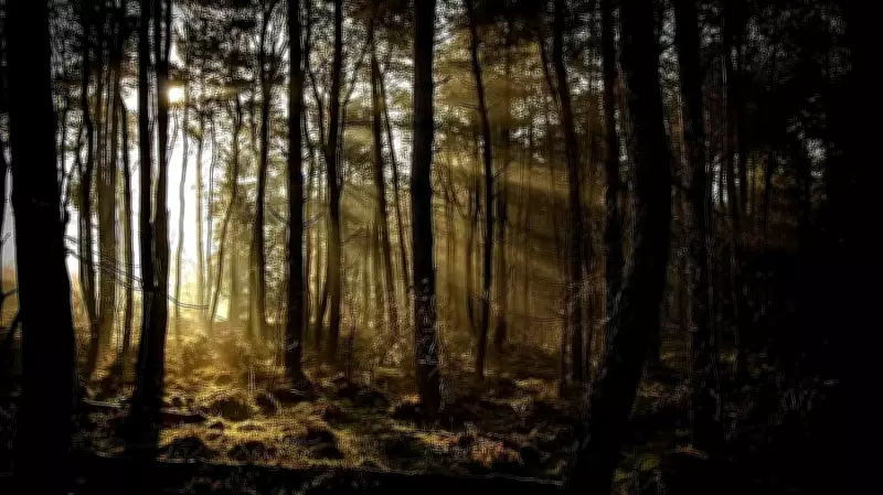 Government Eases Baseline Data Mandate for Environmental Impact Assessments