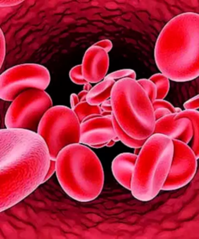 Government to Engage Novartis Over Thalassemia Drug Shortage, Push for Domestic Production