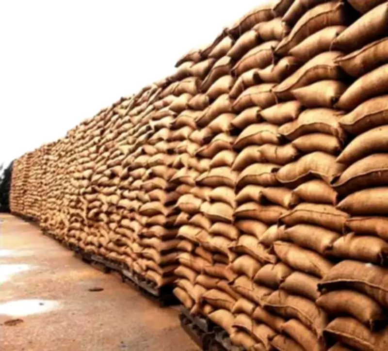 Govt Relaxes Wheat Procurement Norms to Aid Farmers Hit by Weather Damage