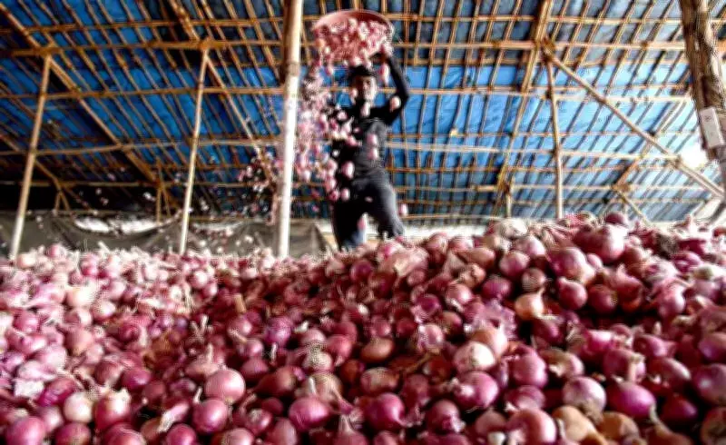 Govt Urges Onion Exporters to Boost Storage Amid Surplus, Price Volatility