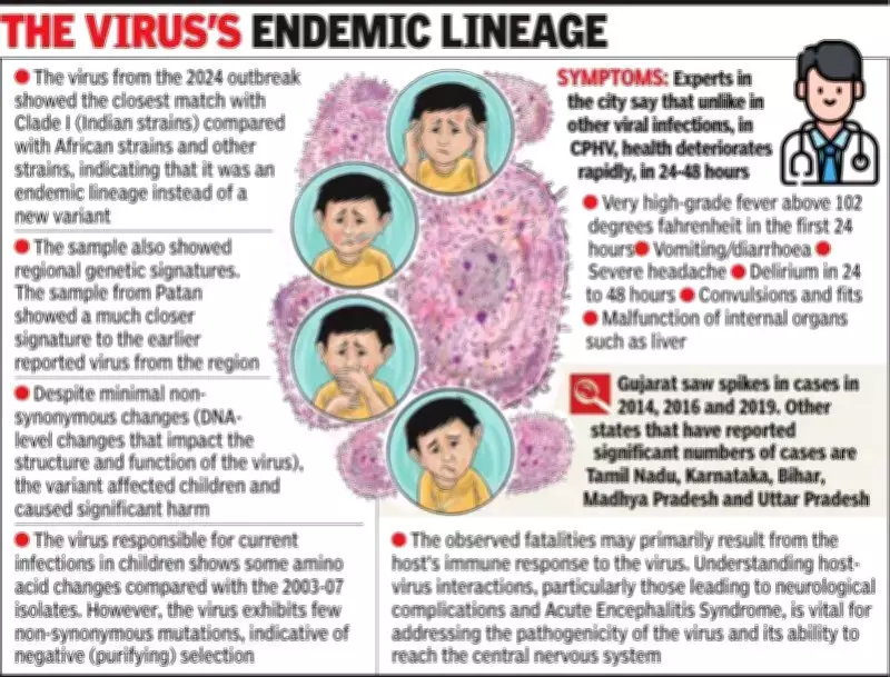 Gujarat 2024 Chandipura Virus Genome Decoded with 293 Mutations