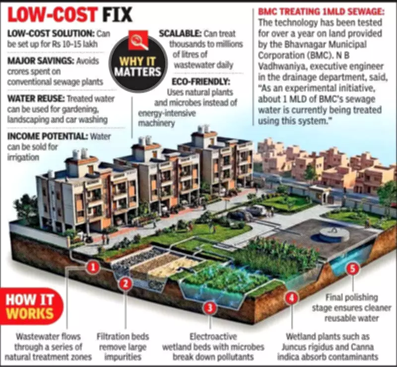 Gujarat Scientists Develop Nature-Based Sewage Treatment System Without Electricity