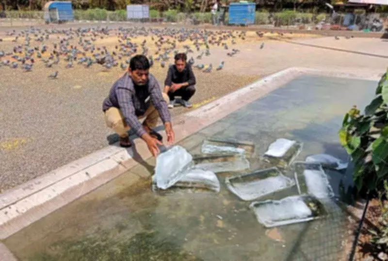 Gujarat Swelters as Heatwave Pushes Temperatures Past 40°C, Rajkot Tops at 41.7°C