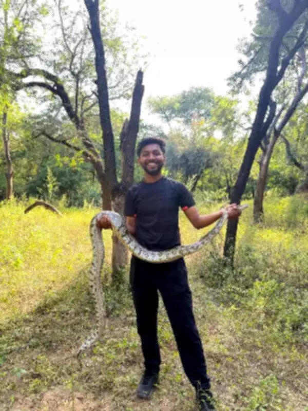 Gujarat's Youth Rescue Networks: Saving Wildlife from Construction Pits to Mobile Towers