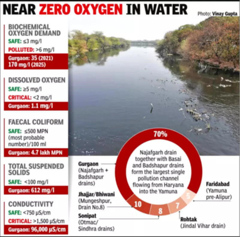 Gurgaon Contributes 70% of Yamuna Pollution, But Haryana's Other Districts Also Responsible