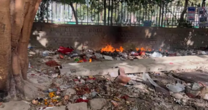 Gurgaon Guest House Caretaker Accused of Burning Garbage, Damaging Peepal Tree