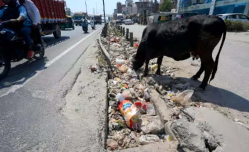 Gurgaon's Monsoon Crisis: Over 60% of Stormwater Drains Remain Clogged