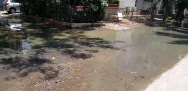 Gurgaon's Sushant Lok-1 Grapples with Garbage, Sewer Woes, and Road Neglect