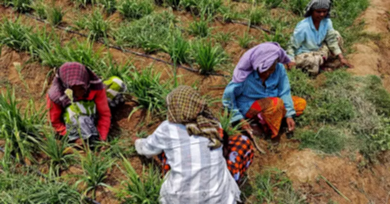 Haigala Meli Towel: Karnataka's Fading Handwoven Legacy of Memory and Labor