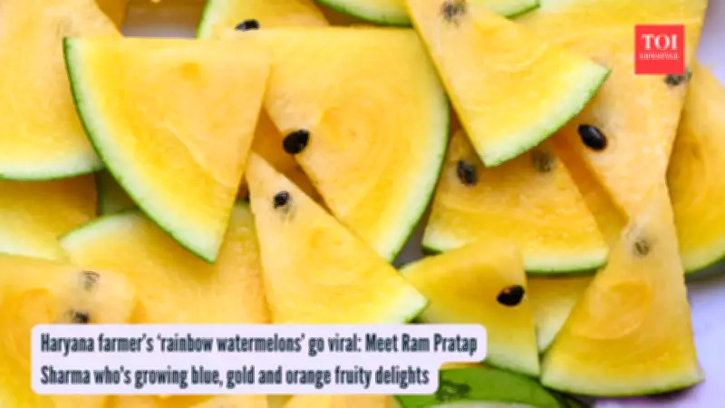 Haryana Farmer Grows Rainbow Watermelons in Five Stunning Colors