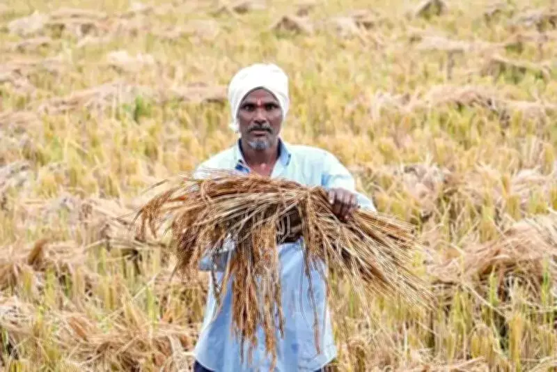 Haryana Farmers Protest Crop Loss Compensation and Mandi Restrictions