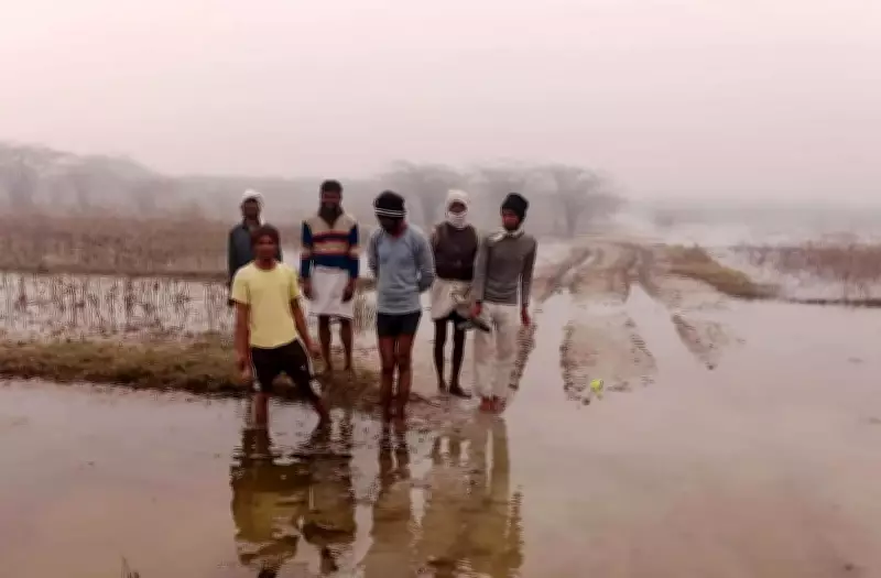 Haryana Forest Department Launches Major Eco-Restoration Drive in Nuh's Aravali Region