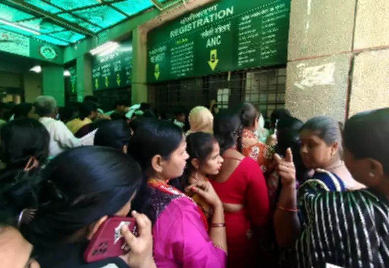 Haryana Hospitals on Alert as Heatwave Drives Up Heatstroke Cases