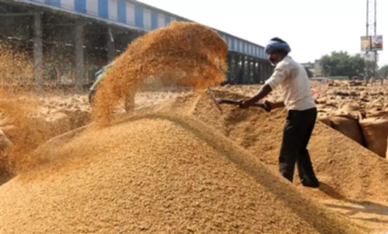 Haryana Marketing Board Bans Kachi Parchis, Mandates J-Form for Crop Procurement