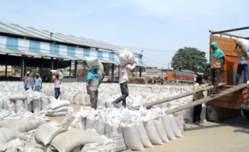 Haryana Sees Record Wheat Arrival in Rabi Season, Lifting Slow