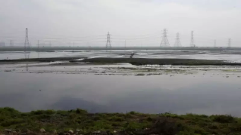Haryana Wetland Authority Transferred to Forest Department