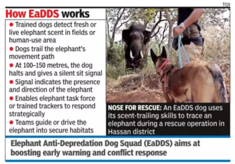 Hassan Launches Elephant Anti-Depredation Dog Squad to Combat Human-Elephant Conflict