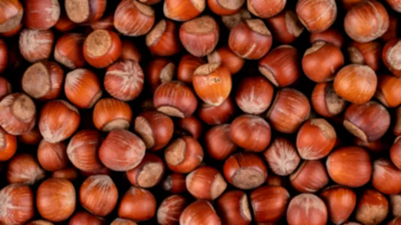 Hazelnuts: A Nutritional Powerhouse for Heart, Brain, and Energy