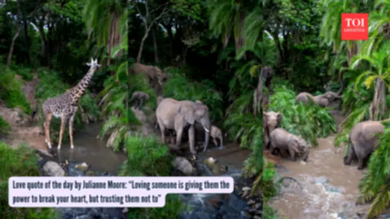 Hidden Wildlife Highway Discovered in Kenya's Maasai Mara Reserve
