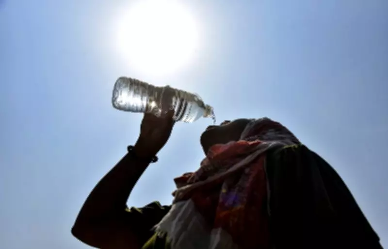 Himachal Pradesh Braces for Severe Heatwave as Temperatures Set to Cross 40°C