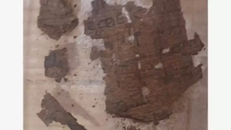 Homer's Iliad Fragment Found Inside 1,600-Year-Old Egyptian Mummy