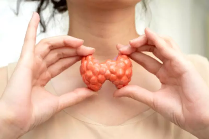 Hormonal Harmony: Understanding the Importance of Thyroid Health
