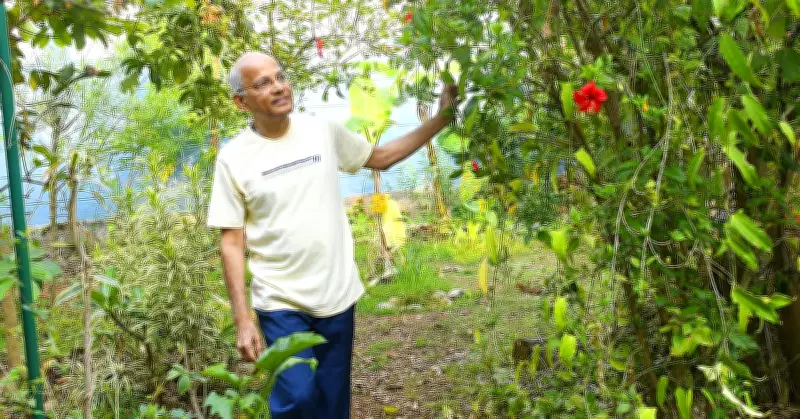 Hornbills Discover a Mini Jungle: A Personal Conservation Story