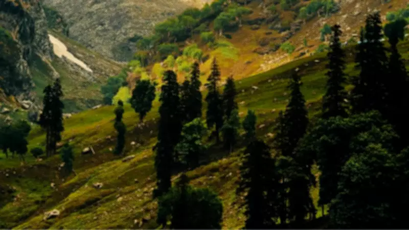 How a Spontaneous Trip to Dharamsala with No Plans Became My Best Holiday