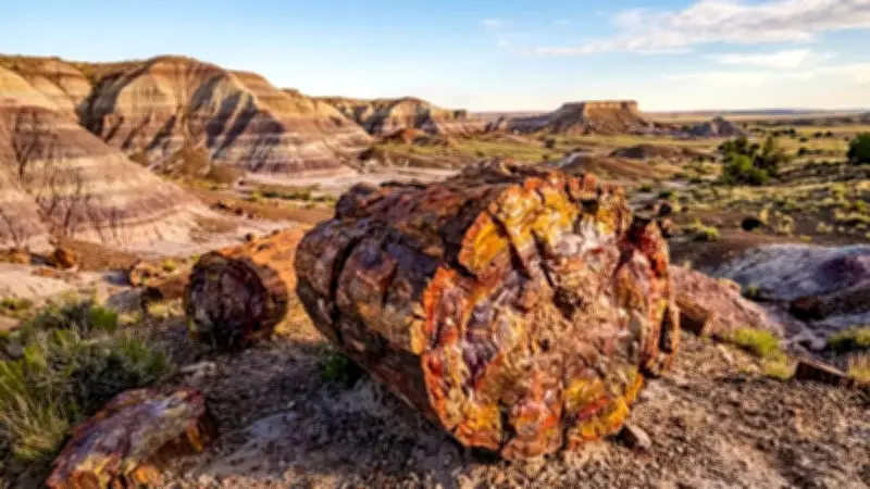 How Arizona's Petrified Wood Helps Scientists Unlock Earth's Ancient Climate Secrets