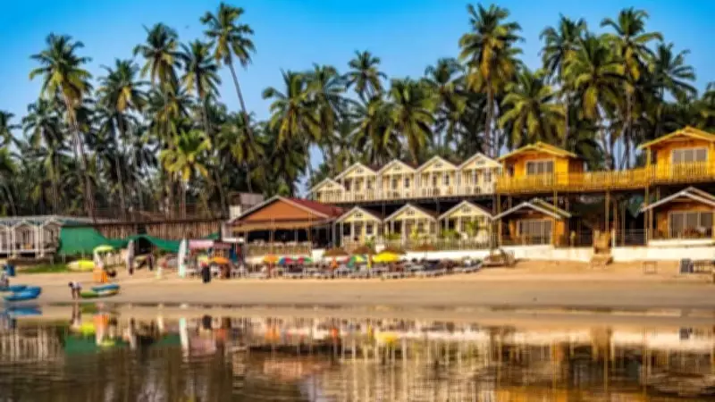 How to Grow a Coconut Tree at Home: Essential Tips for Success