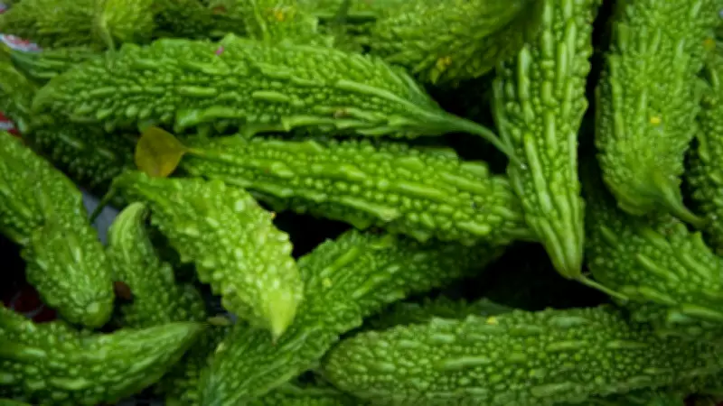 How to Grow Karela (Bitter Gourd) in Containers at Home: A Complete Guide