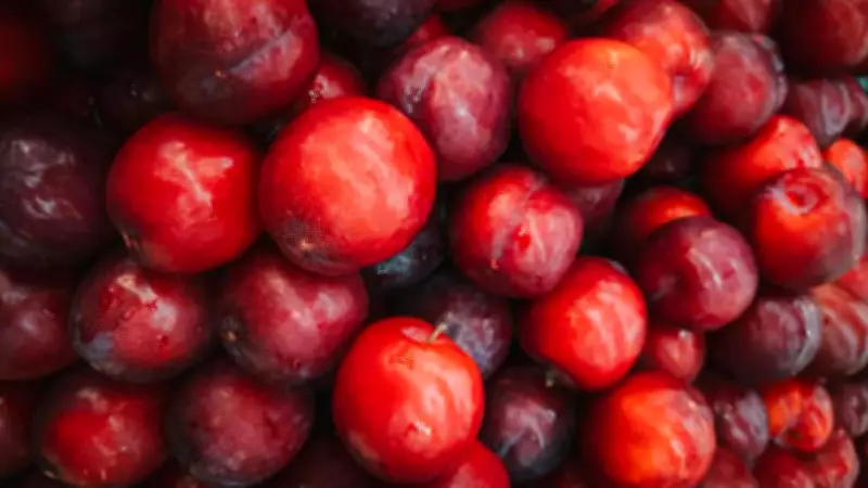 How to Grow Plums in Containers on Your Balcony: A Complete Guide