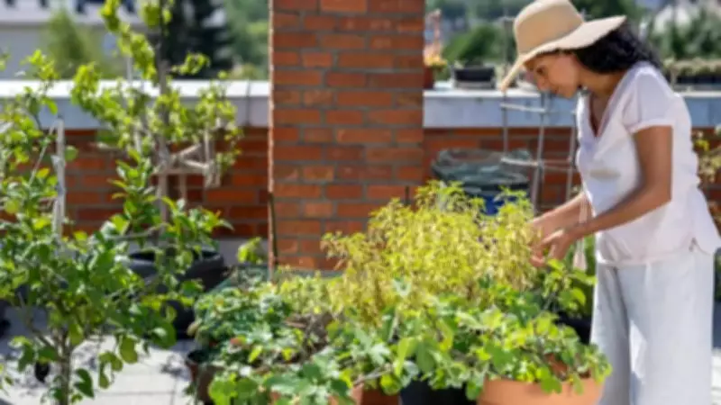 How to Start a Terrace Garden: 7 Simple Tips for Beginners