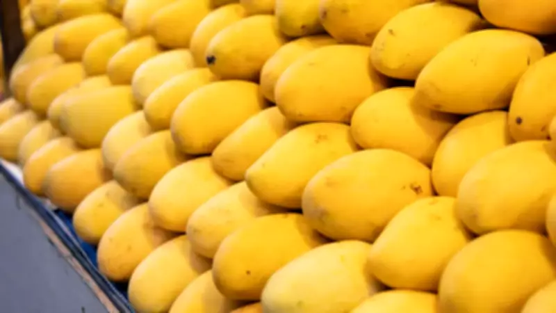 Hyderabad Seizes 200 kg of Artificially Ripened Mangoes: FSSAI Rules & 8 Home Tests
