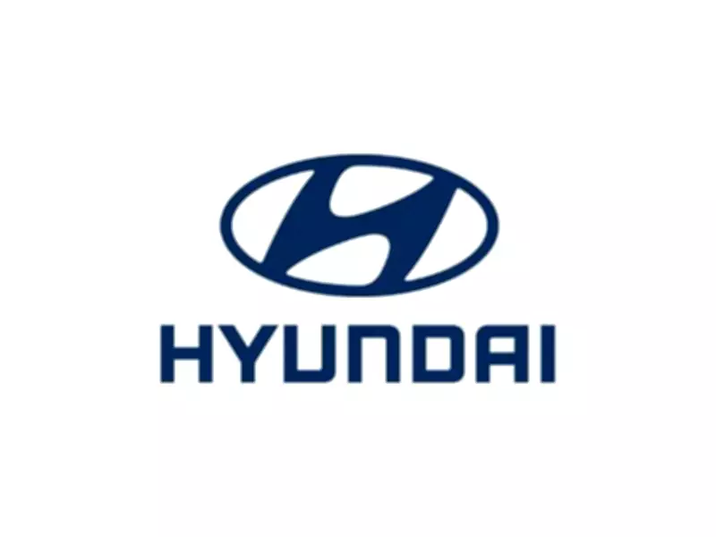 Hyundai Motor Union Demands 30% of Net Profit as Performance Bonuses