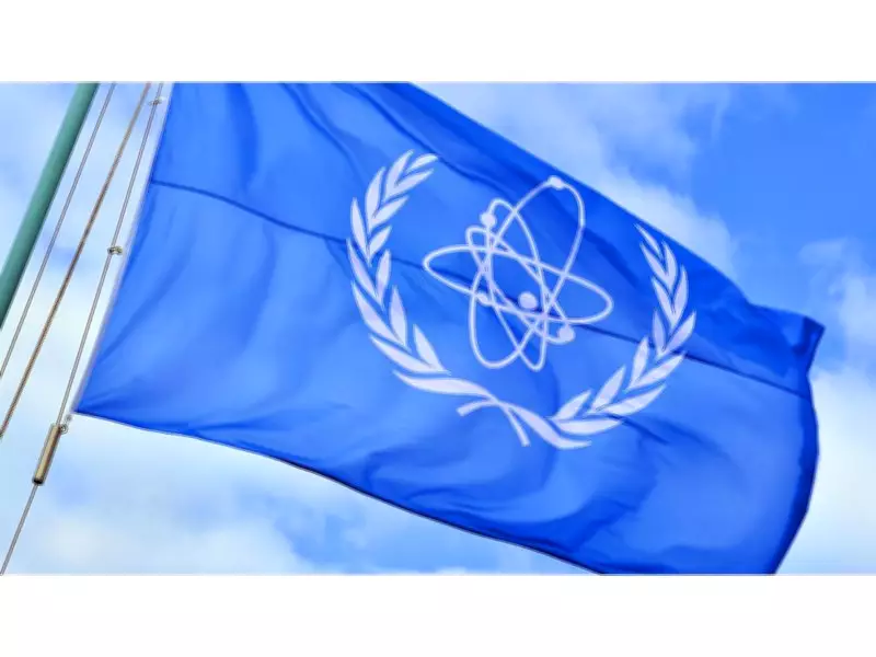 IAEA Chief Voices Grave Concern Over Attack on Iran's Bushehr Nuclear Plant