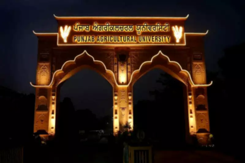 IAS Trainees Visit PAU to Learn About Agricultural Communication