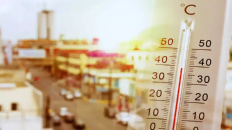 IMD Forecasts Extreme Weather: Heatwaves in North/Central India, Heavy Rains in Northeast