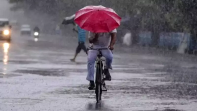 IMD Forecasts Normal to Above-Normal Monsoon for Northeast India, Boosting Farm Hopes