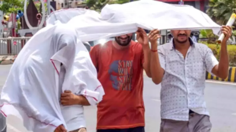 IMD Issues Heat Wave Alert for Northwest, Central India for Next 3 Days